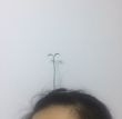 ͷ��