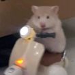 ͷ��