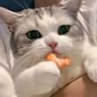 ͷ