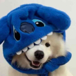 ͷ��