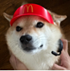ͷ