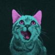ͷ��