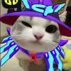 ͷ��