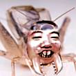 ͷ