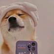 ͷ