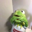 ͷ��