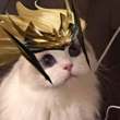 ͷ