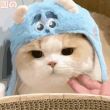 ͷ��
