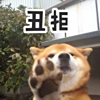 ͷ