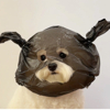 ͷ��