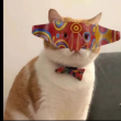ͷ��