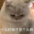 ͷ��
