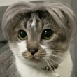 ͷ