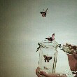 ͷ��
