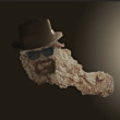 ͷ