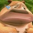 ͷ��