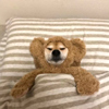 ͷ