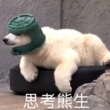 ͷ��