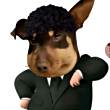 ͷ