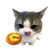 ͷ��