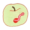 ͷ