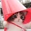 ͷ