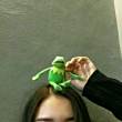 ͷ