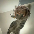 ͷ��