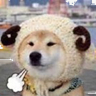 ͷ��
