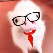 ͷ��