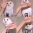 ͷ��