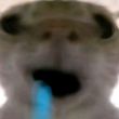 ͷ��