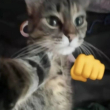 ͷ��
