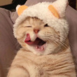 ͷ��