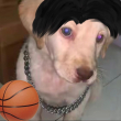 ͷ��