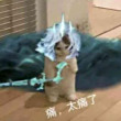 ͷ