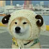 ͷ