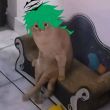 ͷ��