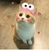 ͷ
