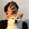ͷ