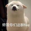 ͷ