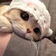 ͷ