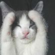 ͷ��