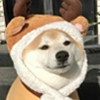 ͷ