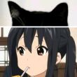 ͷ��