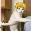 ͷ��