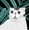 ͷ