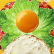 ͷ��