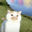 ͷ��