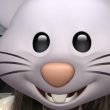 ͷ��
